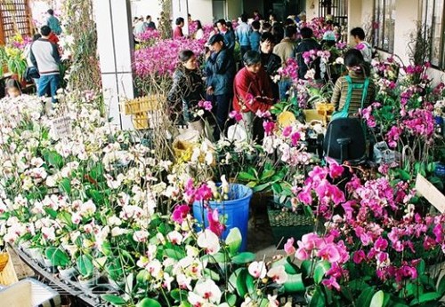 В преддверии Нового года на цветочном рынке Куанган - ảnh 2